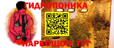 твердый Канаш