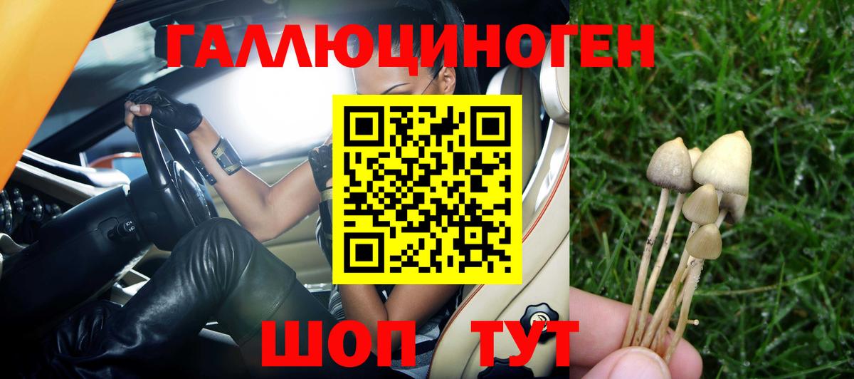 Галлюциногенные грибы мицелий Удомля