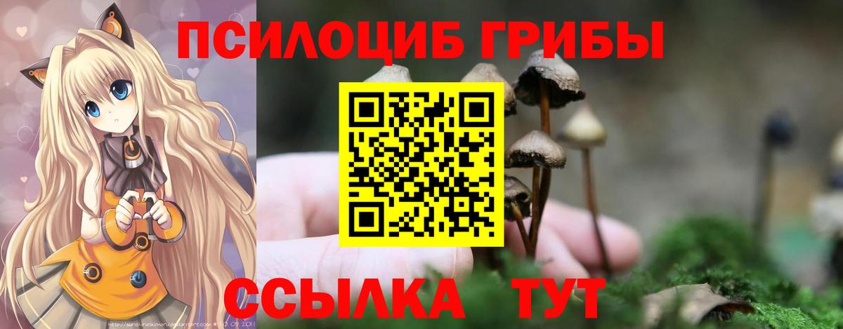 Галлюциногенные грибы мухоморы  Вход с VPN  Удомля 